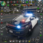 city police car chase 2024.png